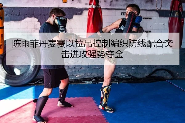 chen-yu-fei-dan-mai-sai-yi-la-diao-kong-zhi-bian-zhi-fang-xian-pei-he-tu-ji-jin-gong-qiang-shi-duo-jin-2-116.jpg