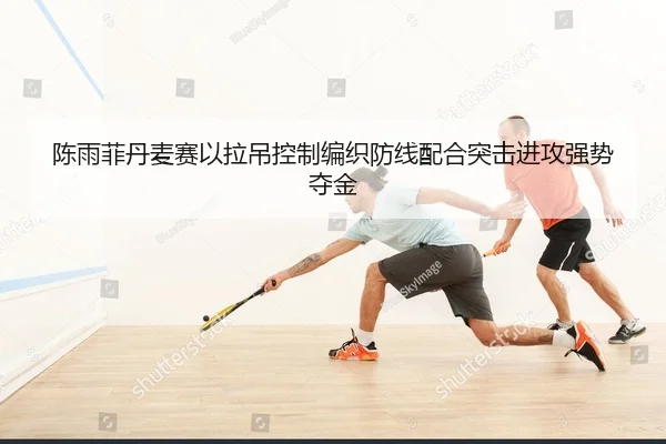 陈雨菲丹麦赛以拉吊控制编织防线配合突击进攻强势夺金